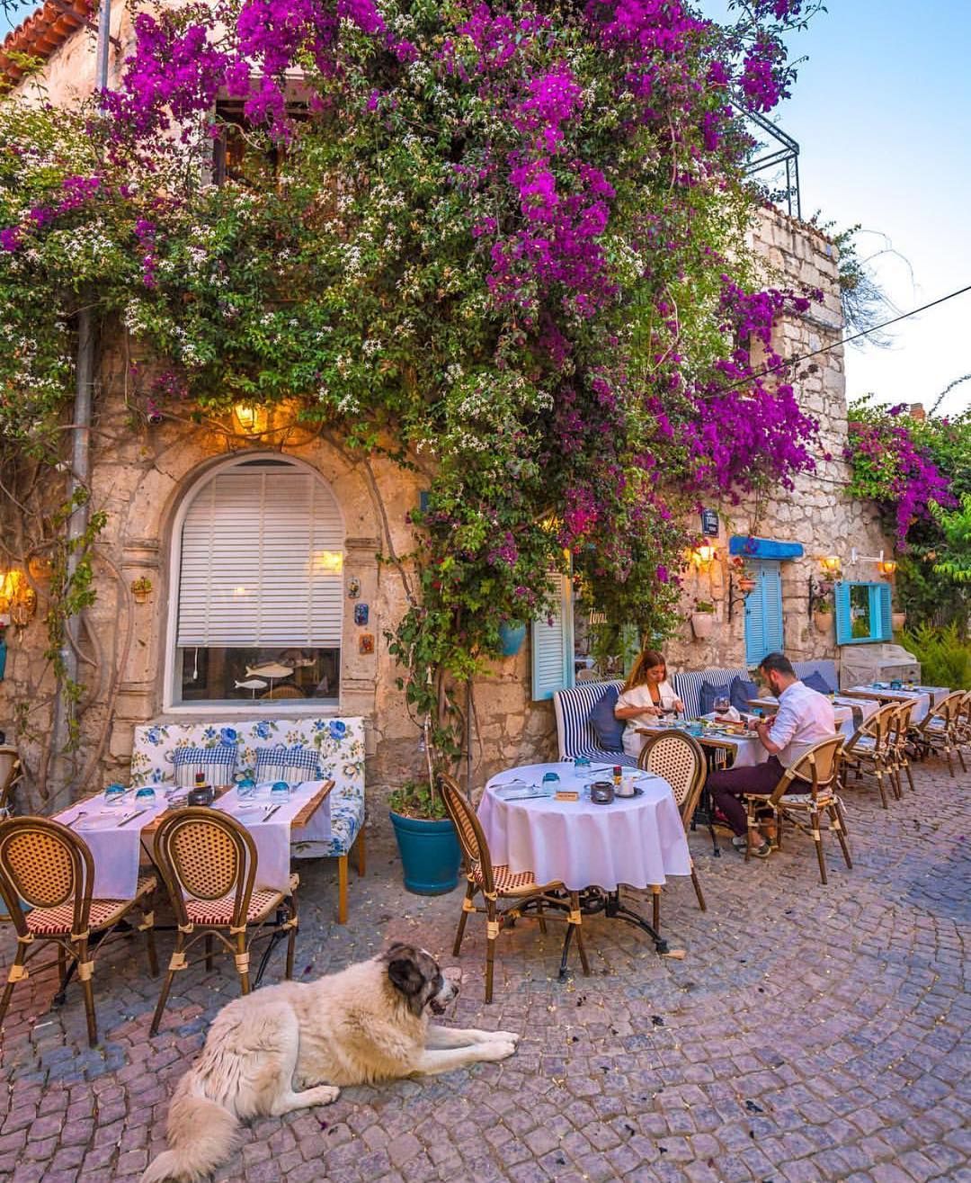Çeşme Marina